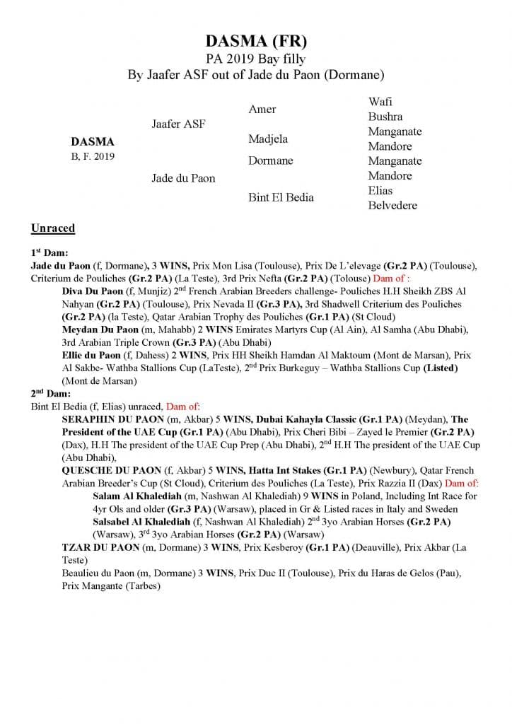 DASMA (FR)ALSQR AL SHAHANIA STUD